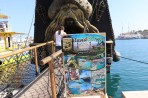 Kos Capital city - Kos island photo 13