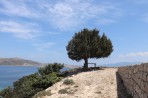 Plati Island photo 11