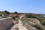 Plati Island photo 12