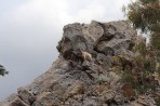Dikeos Mountains - Kos island photo 8