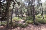 Plaka Forest Animal Park - Kos island photo 17