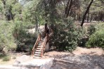Plaka Forest Animal Park - Kos island photo 19