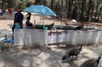 Plaka Forest Animal Park - Kos island photo 23