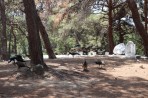 Plaka Forest Animal Park - Kos island photo 4