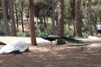 Plaka Forest Animal Park - Kos island photo 5