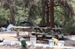 Plaka Forest Animal Park - Kos island photo 7