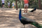Plaka Forest Animal Park - Kos island photo 8