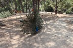 Plaka Forest Animal Park - Kos island photo 9