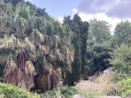 Agora (archaeological site) - Kos island photo 9