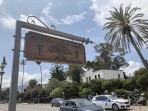 Hippocrates plane tree - Kos island photo 1