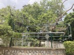 Hippocrates plane tree - Kos island photo 2