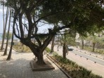 Neratzia Castle - Kos island photo 9